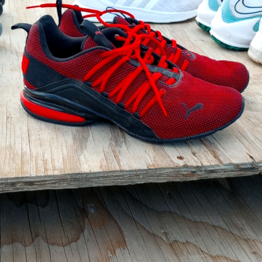 Puma